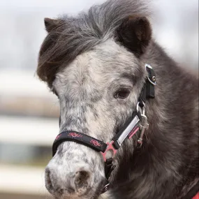 Licol avec longe Harry's Horse Stout Coral